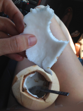 young thai coconut meat