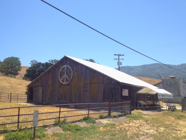 California Farm Stand