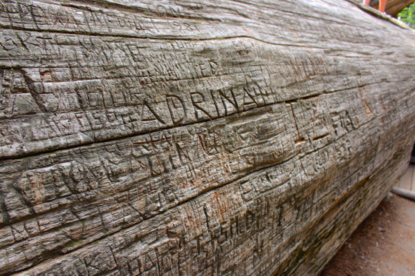 carved log sequoia