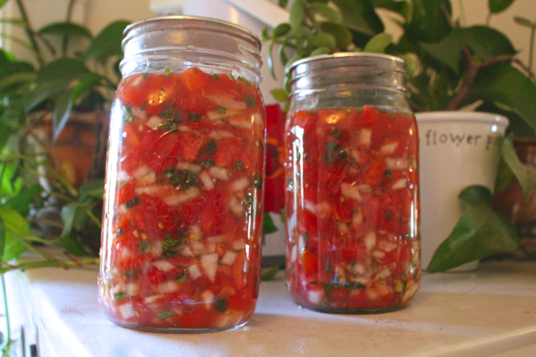 fermented salsa