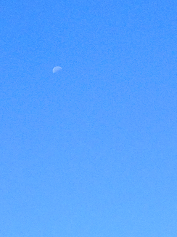 moon at 11 am