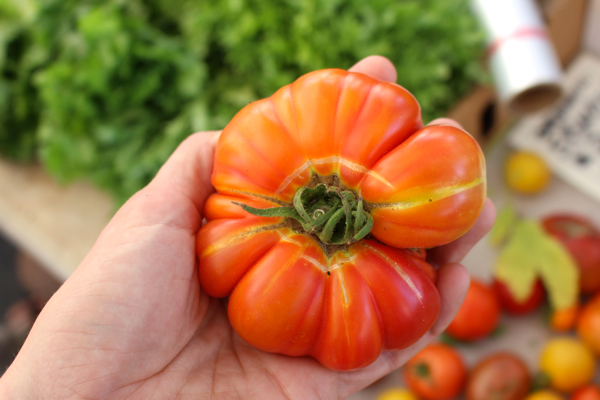 summer heirloom tomato