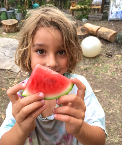 homegrown persian watermelon
