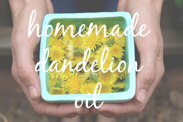 dandelion oil