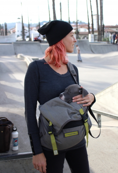 attachment dog parenting