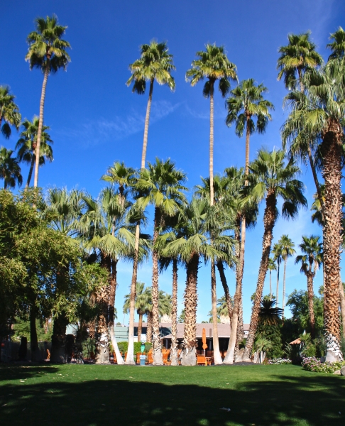 palm springs hotel