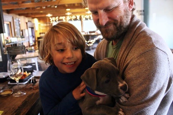 refugio ranch tasting room